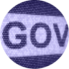 Digital Government